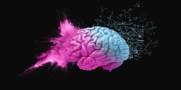 Brain Chemistry