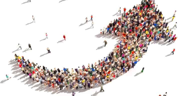 Organizational Growth