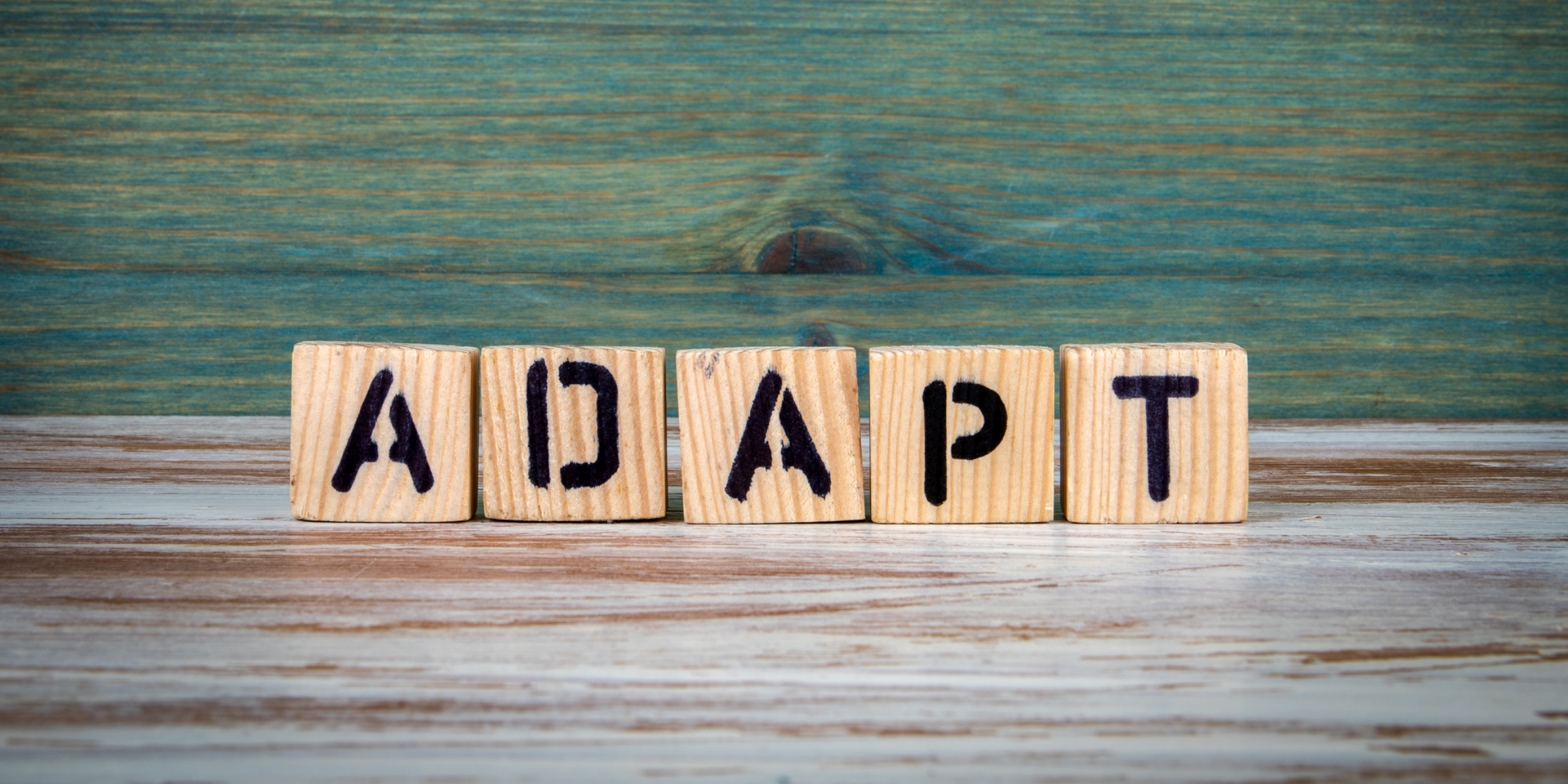 The word adapt spelled out in wooden cubes on a wooden table.