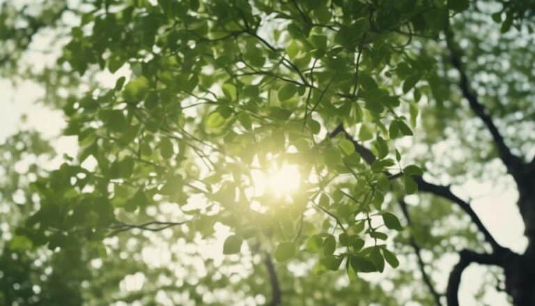 navigating change with confidence
