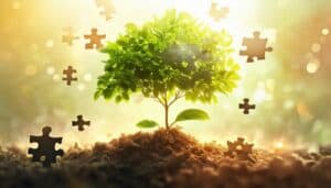 creating a new organization