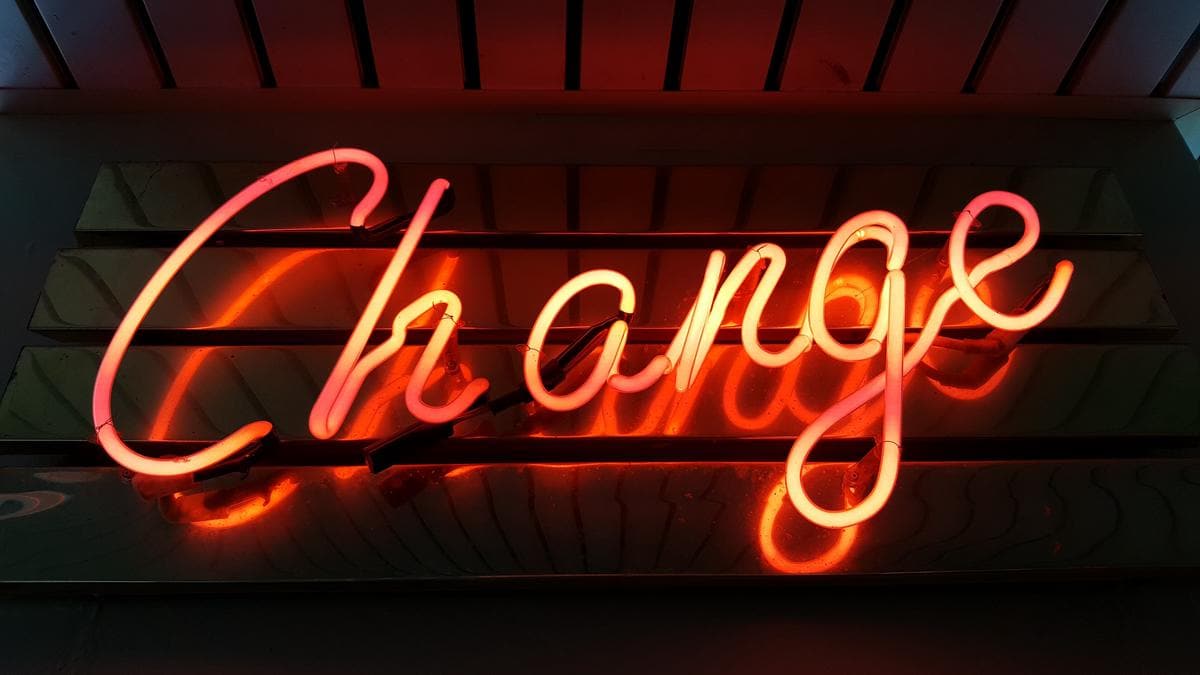 Image of a person leading a team through change management consulting